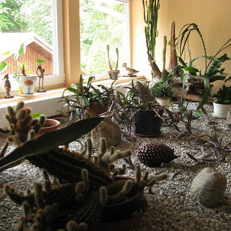 Asmonienes Sveciu Namai "Senoji Mokyklele" Hotel Smalininkai ภายนอก รูปภาพ
